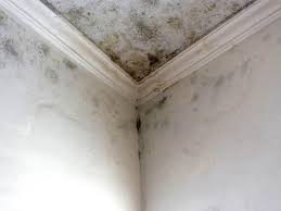 Best Mold Prevention Services  in Sweetser, IN