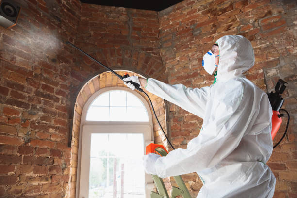 Best Emergency Mold Remediation  in Sweetser, IN