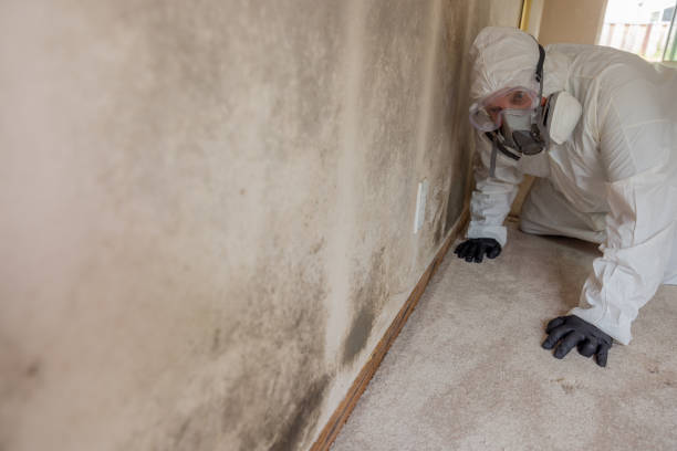 Best Asbestos and Lead Testing During Mold Inspection  in Sweetser, IN